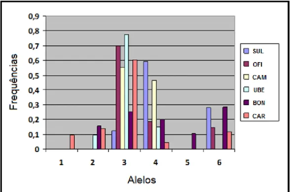Gráfico 08: Marcador Ntes34. Frequência dos alelos por agregação. 