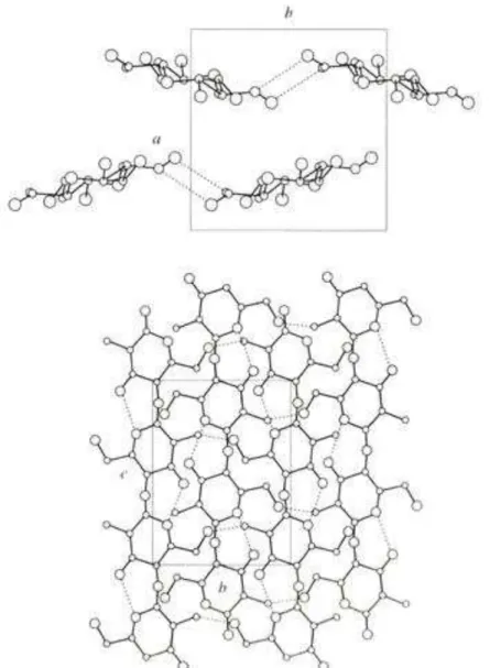 FIGURA 11 - Estrutura cristalina do polimorfo anidro da quitosana nas projeções ab e bc  (Urigami e Tokura, 2006)