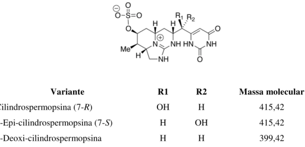 Figura 2 - Estrutura da cilindrospermopsina (CYN) e suas variantes naturais (MAZMOUZ et al., 2010) 