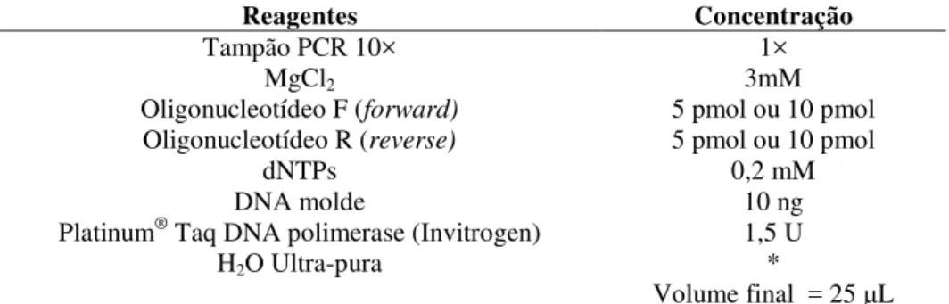 Tabela  2  -  Reagentes  utilizados  nas  reações  de  PCR  para  amplificação  dos  fragmentos  gênicos  de  interesse 