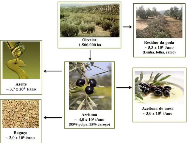 Figura  2.8  –   Produtos  e  subprodutos  provenientes  da  indústria  processadora  de  oliveira  (valores baseados na produção da região de Andaluzia -  Consejería  de  Agricultura y  Pesca,  2011 )