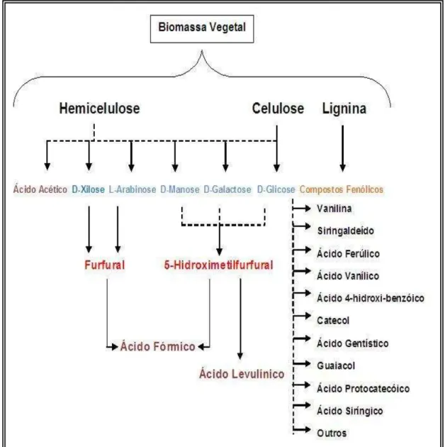 Figura  2.1  -  Compostos  formados  durante  a  hidrólise  ácida  de  biomassa  vegetal  (PALMIQVIST;  HAHN  HÄGERDAL, 2000a)