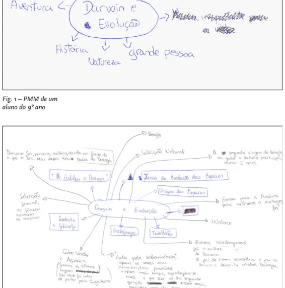 Fig. 2 – PMM de um  aluno do 9º ano