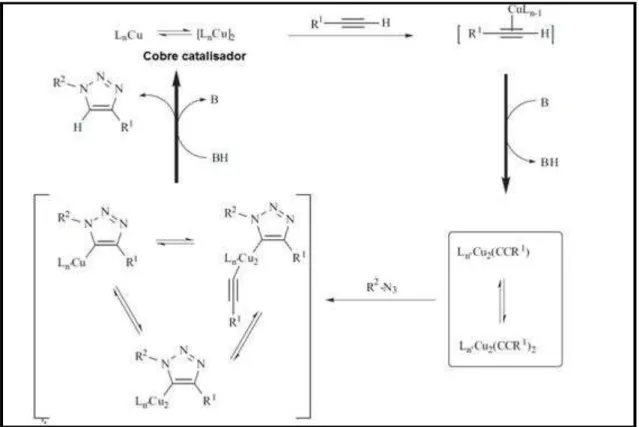 Figura  8:  Mecanismo  reacional  proposto  para  a  formação  de  triazóis  sob  a  catálise do cobre (I) (WANG, CHITTABOINA, BARNHILL, 2005)