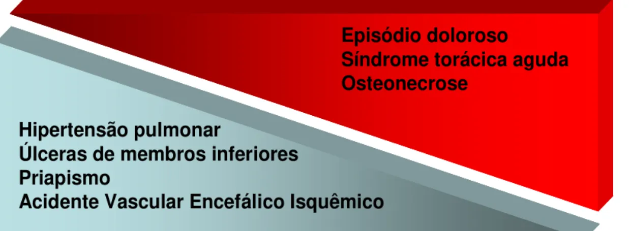 Figura 6 – Fisiopatologia da doença falciforme – interação entre hemólise e vaso-oclusão 