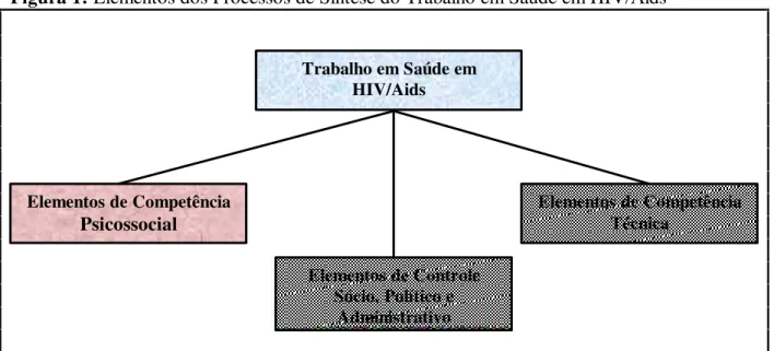 Figura 1: Elementos dos Processos de Síntese do Trabalho em Saúde em HIV/Aids