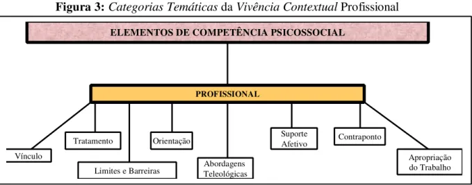 Figura 3: Categorias Temáticas da Vivência Contextual Profissional