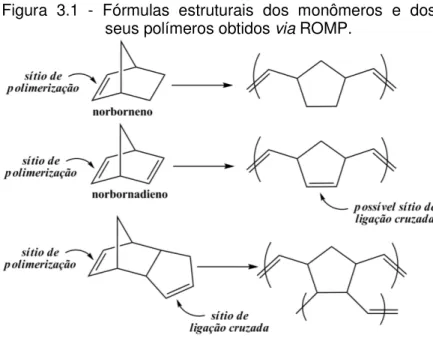 Figura  3.1  -  Fórmulas  estruturais  dos  monômeros  e  dos  seus polímeros obtidos via ROMP