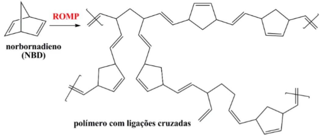 Figura  3.12  -  Representação  da  polimerização  do  NBD  através  da  ROMP  para formar um polímero com ligações cruzadas