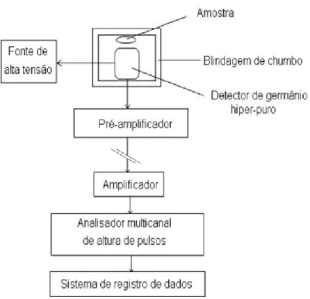 FIGURA 8: Esquema geral de um sistema de detecção de radiação gama.  