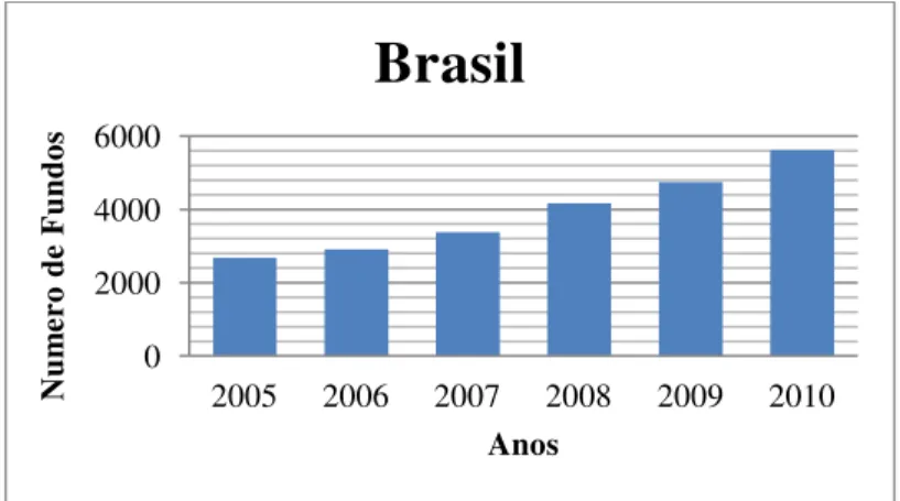 Gráfico 3 – Crescimento do número de fundos no Brasil de 2005 a 2010  Fonte: Elaborado pelo Autor