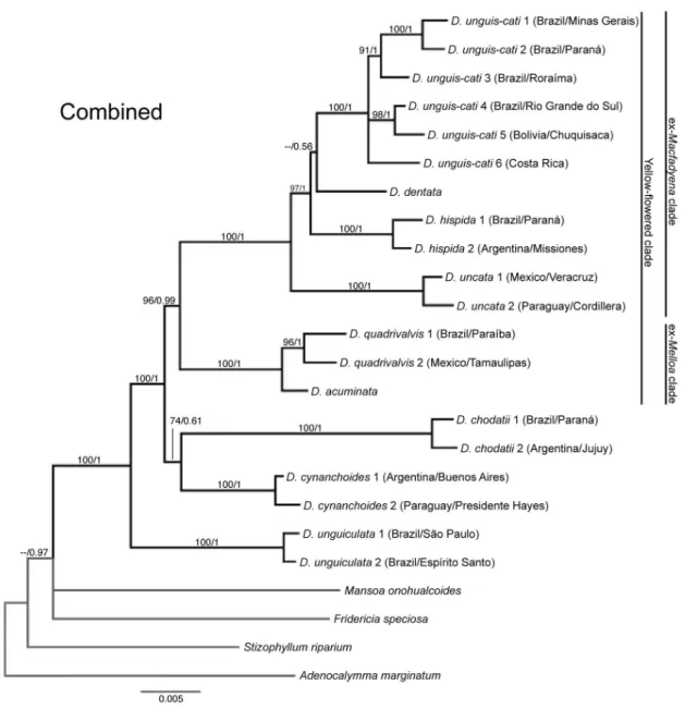 Fig. 7. 50% majority-rule post burn-in consensus tree derived from the Bayesian analysis of the combined data  set