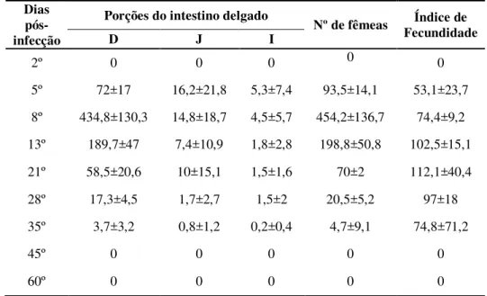 Tabela 2- Fêmeas parasitas recuperadas no intestino delgado dos animais infectados com  S