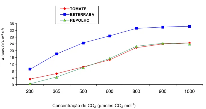 Figura 2  -  Taxa de assimilação de CO 2  em tomateiro, beterraba e repolho, em função das  concentrações de CO 2  submetido a Radiação Fotossinteticamente Ativa de 1400  µmoles m -2 s -1 , medida em laboratório