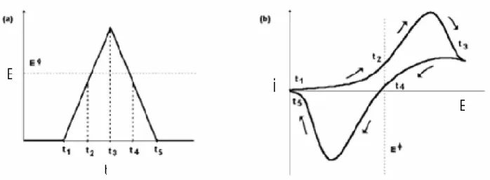 Figura 11: a) Variação do potencial com o tempo. b) Curva resultante da corrente por  potencial em um experimento de voltametria cíclica