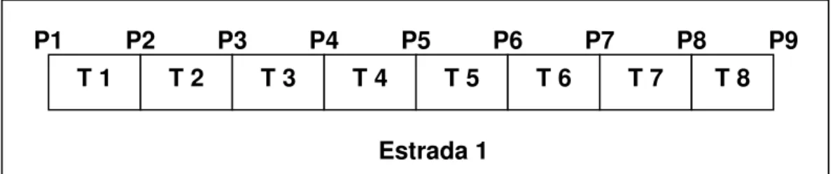 Figura 5 – Exemplo do método adotado para a subdivisão das estradas em perfis (P) e 