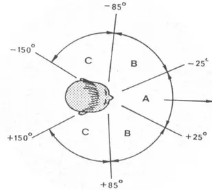 Figura 1 - Campos visuais do operador: A – campo visual estacionário; B -  campo visual dos olhos e C – campo visual obtido com o movimento  da cabeça 