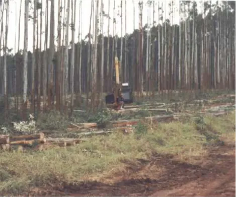 Figura 4 - Máquinas florestais utilizadas no sistema de colheita mecanizado na  empresa B 