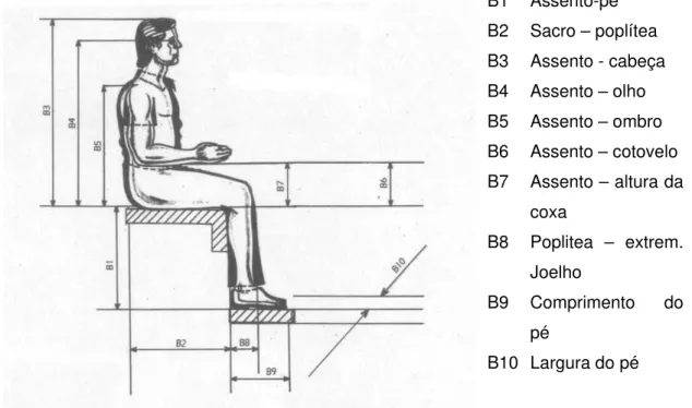Figura 16 - Cadeira com escalas de medições antropométricas  Fonte: Serrano (1996). 