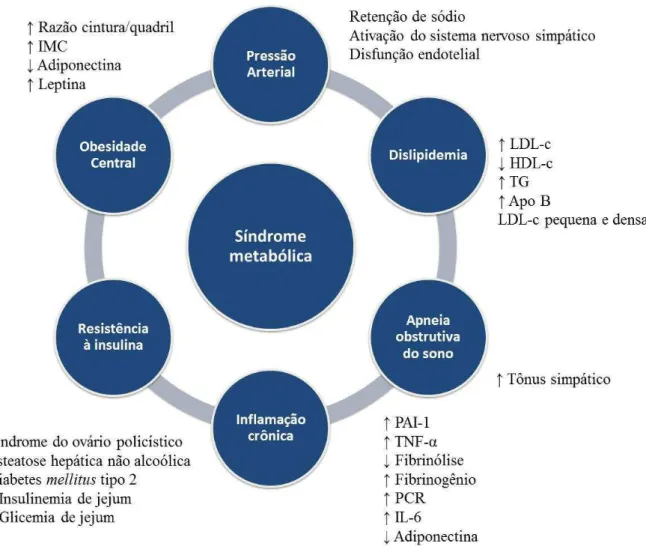 Figura 1. Possíveis mecanismos envolvidos na fisiopatologia da síndrome metabólica. 