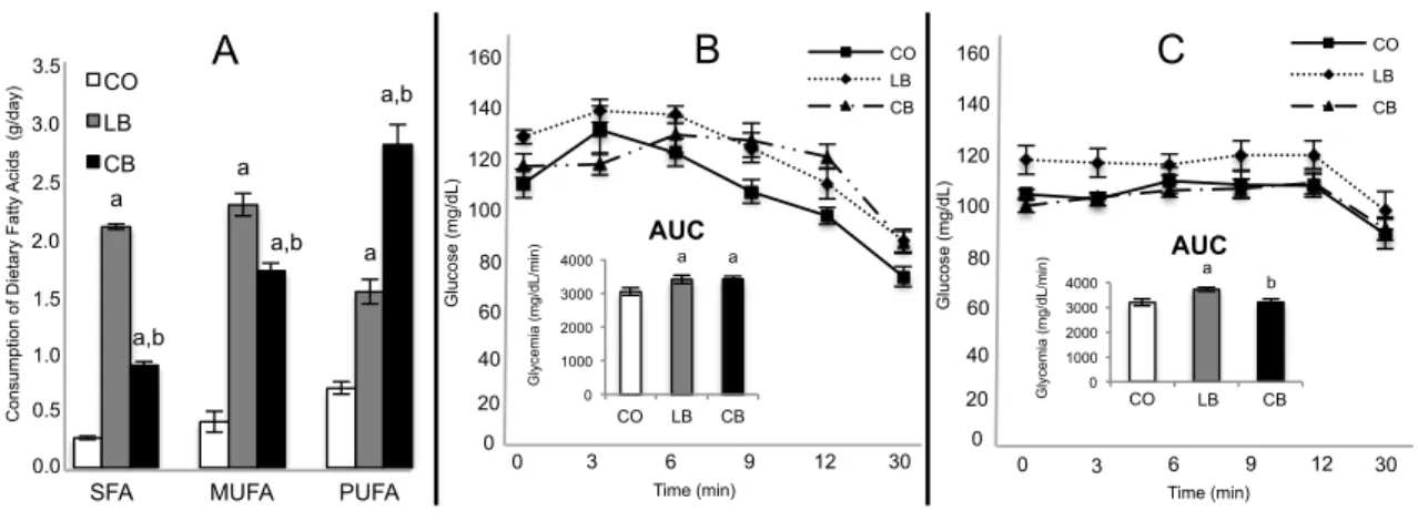 Figure  2:  Paternal  fatty  acid  consumption  and  insulin  tolerance  test.  A:  Control  diet  (CO)  and  lard  based  (LB)  and  corn  oil  based  (CB)  high  fat  diets  fed  male  rats  consumption  of  dietary  fats  [Saturated  (SFA),  Monounsatur