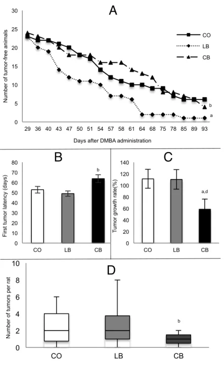 Figure  4:  Mammary  tumorigenesis  in  female  offspring  of  control  diet  (CO),  lard  (LB)  and  corn  oil  (CB) fed males