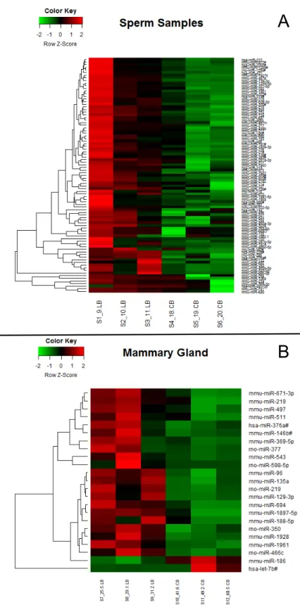 Figure 6: Heatmap of miRNA expression profiles. A: Heatmap of miRNA expression profile in sperm of  the  male  rats  from  control  diet  (CO),  lard  (LB)  and  corn  oil  (CB)  fed  males