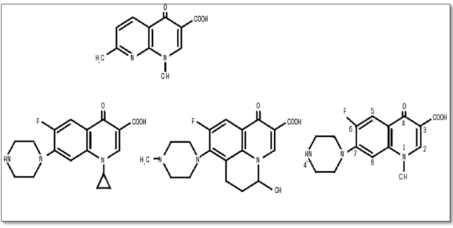 Figura 4: Estrutura básica de quinolonas/fluoroquinolonas 