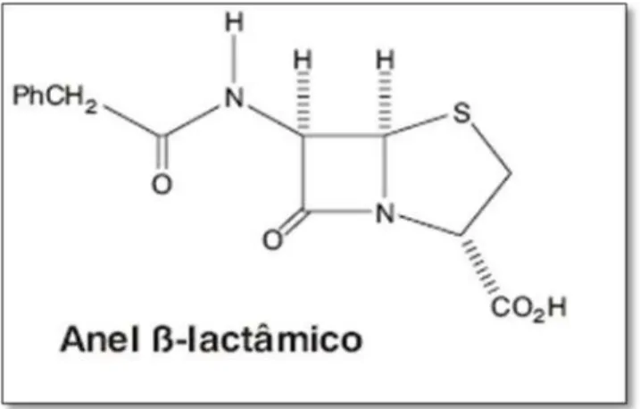Figura 1.  Estrutura química de um beta-lactâmico 