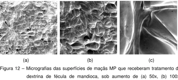 Figura 12 – Micrografias das superfícies de maçãs MP que receberam tratamento de  dextrina de fécula de mandioca, sob aumento de (a) 50x, (b) 100x,          (c) 1000x 