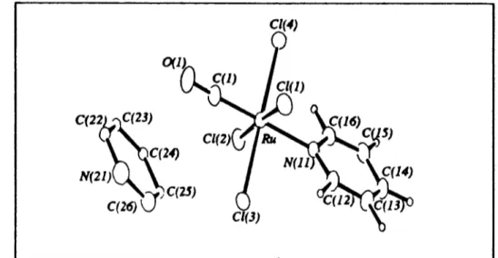 Figura IS: Visio em perpectiva (com os atomos identificados, exceto hidrogenios) da mol~cula de P yH [R uC I 4 (C O )P y)