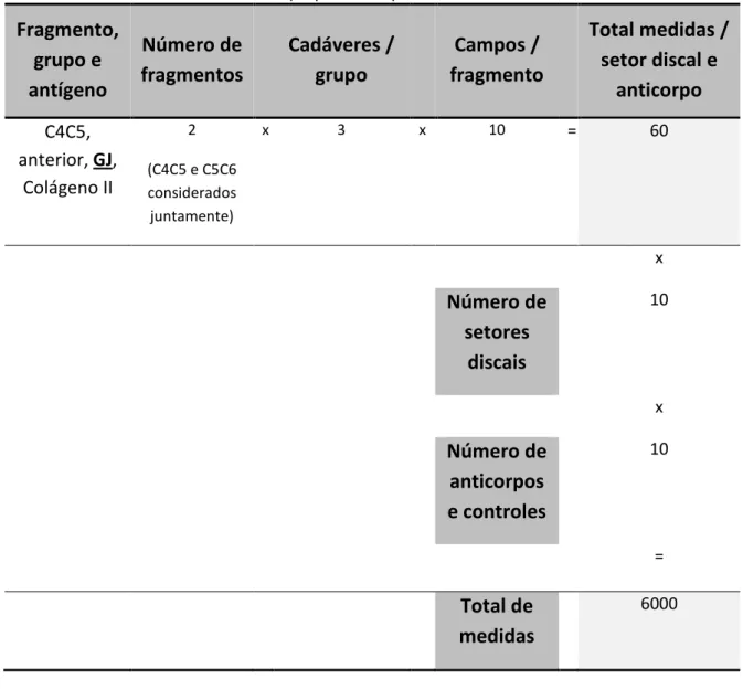 Tabela 2 – Resumo do procedimento de contabilização da marcação por área, tomando-se  um setor discal e anticorpo por exemplo