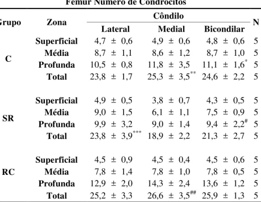 Tabela 8 - Demonstrativo das médias do número de condrócitos das zonas da cartilagem  articular da epífise distal do fêmur nos diferentes grupos avaliados, seguidas  pelo desvio padrão e significância estatística - São Paulo – 2012 