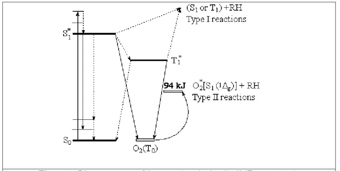 Figura 1. Diagrama energético reações do tipo I e II (Foote, 1991). 