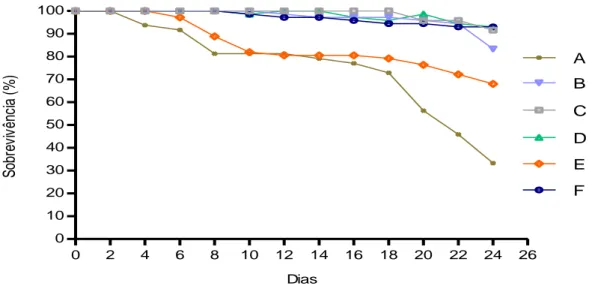 Figura  4.3-  Sobrevivência  (%)  de  éfiras  de  P.  punctata  alimentadas  com  diferentes  dietas  ((A)  náuplios de artémia (10 Ind/ml), (B) rotíferos (20 Ind/ml), (C) náuplios de artémia (5 Ind/ml) + rotíferos  (10 Ind/ml), (D) Microalga (Nannochlorop