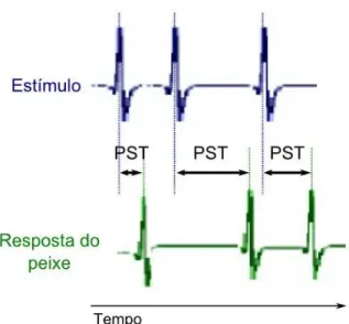 Fig.  16:Post   Stimulus   Time  (PST).O   PST   foi   definido como o tempo entre o peixe receber um estímulo (pulsos em azul) e responder a esse estímulo (pulsos em verde).