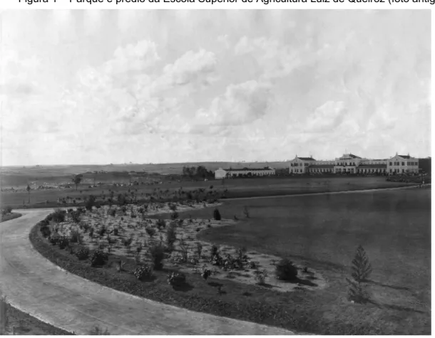 Figura 1 – Parque e prédio da Escola Superior de Agricultura Luiz de Queiroz (foto antiga).