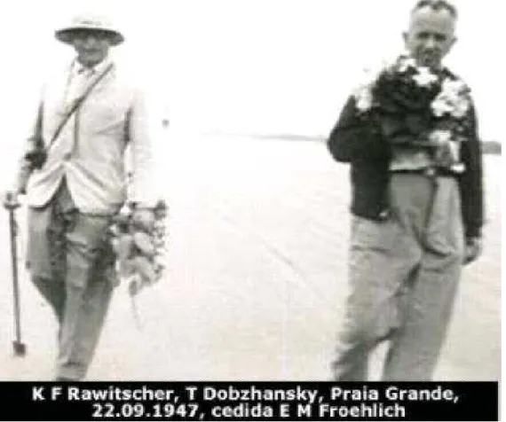 Figura 12 – Felix Kurt Rawitscher (Departamento de Botânica da Faculdade de Filosofia, Ciências e Letras) e Theodosius Dobzhansky em excursão a Praia Grande, no litoral de São Paulo, em 1947.