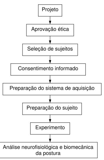 Figura 1. Fluxograma das etapas da pesquisa. 