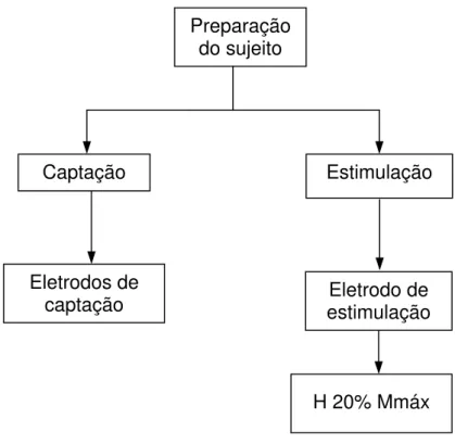 Figura 3. Fluxograma da etapa de Preparação do sujeito. 