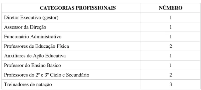 Tabela nº 1 - Categorias profissionais e número de colaboradores do CIM.  