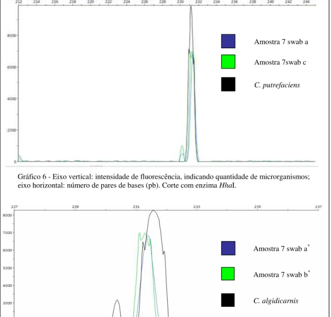 Gráfico 6 - Eixo vertical: intensidade de fluorescência, indicando quantidade de microrganismos;    