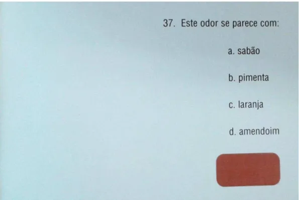 Figura 3. Modelo de uma página do UPSIT 