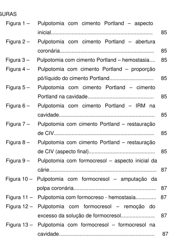 Figura 1 –  Pulpotomia  com  cimento Portland – aspecto 