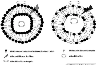 Figura  2.  Representação  esquemática  dos  lipossomas.  Lipossoma  convencional  (esquerda) e lipossoma altamente deformável (direita)