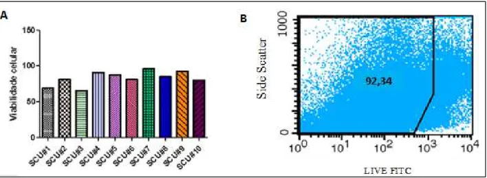 Figura 7 – Sangue do cordão umbilical pós-descongelamento. A) Viabilidade  celular das amostras de SCU (n=10)