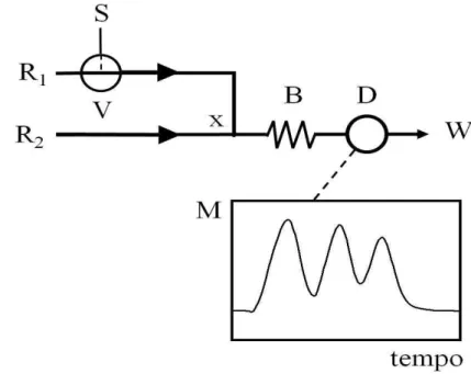 Figura  2.5.  Diagrama  de  fluxos  para  a  determinação  de  ferro  e  vanádio.  S:  amostra;  R 1 :  fluxo transportador (8,0 x 10 -2  mol L -1  I em 0,01 mol L -1  HCl a 3,2 mL min -1 ); R 2 : 1,0 x 10 -3  mol  L -1  Cr a 0,6 mL min -1 ); B: reator (20