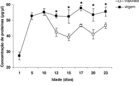 Figura - 6  Concentração de proteínas totais (µg/µl) disponíveis na hemolinfa de fêmeas virgens e  copuladas  de  Nezara  viridula