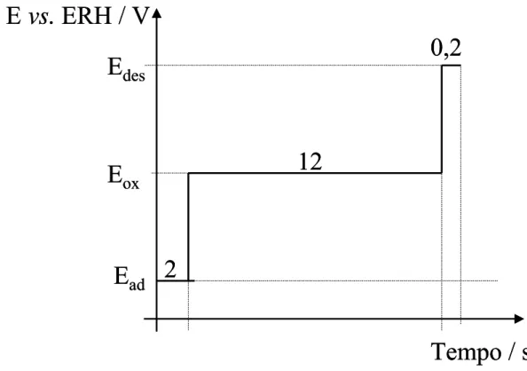 FIGURA 4 –  Programa utilizado para realizar as eletrólises. 