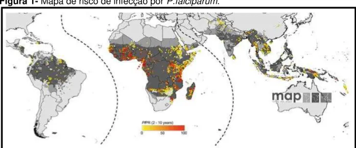 Figura 1- Mapa de risco de infecção por P.falciparum. 